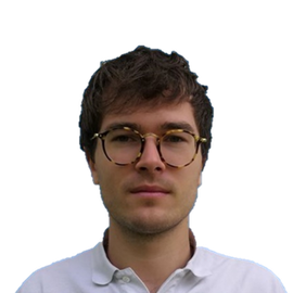 Julien Mellet